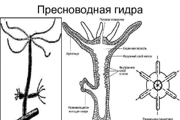 Кракен питер